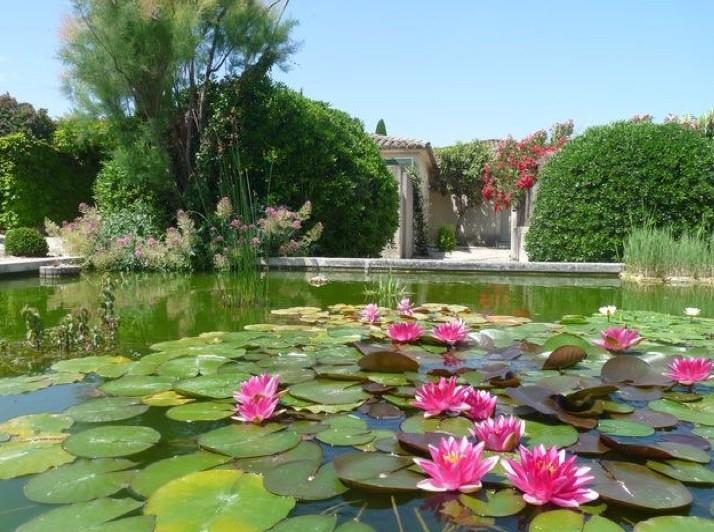 Le Mazet 40 Villa Saint-Rémy-de-Provence Eksteriør billede