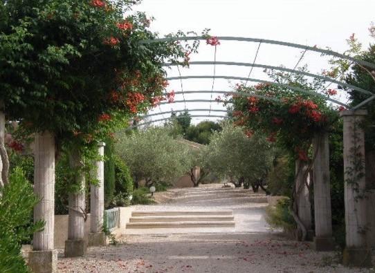 Le Mazet 40 Villa Saint-Rémy-de-Provence Eksteriør billede