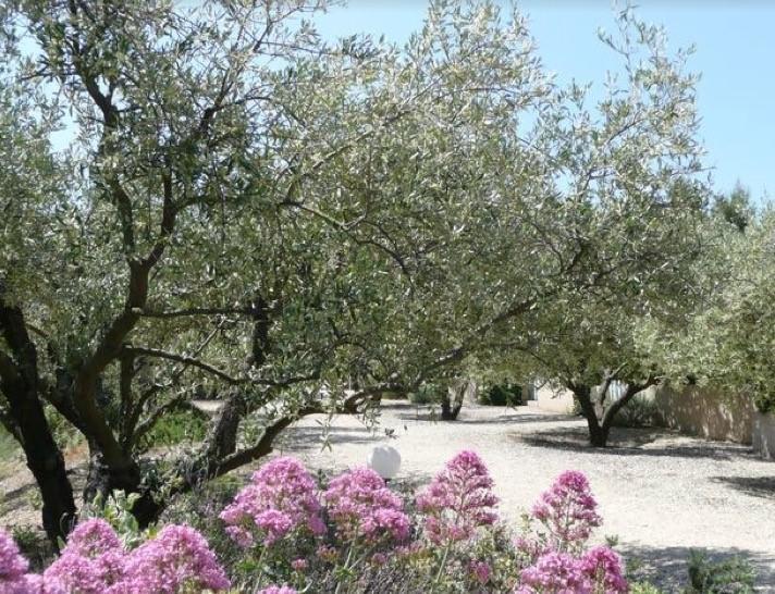 Le Mazet 40 Villa Saint-Rémy-de-Provence Eksteriør billede